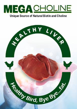 Mega choline