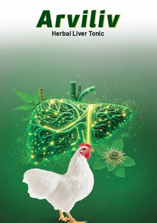 arviliv