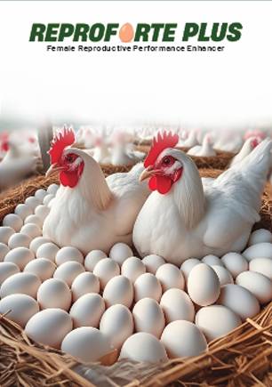 reproforte plus