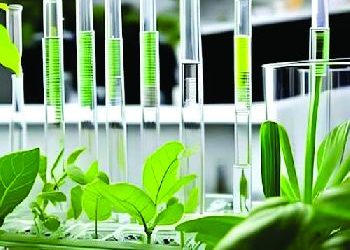 gallery_89127_20241009164909-small