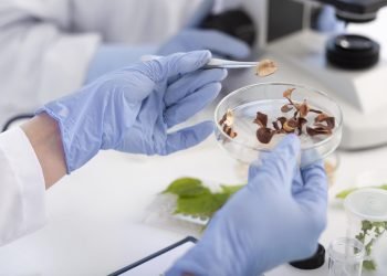 scientist-holding-petri-dish-close-up